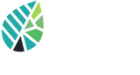 SBG Services Group